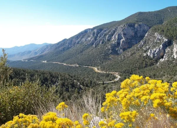 $819,000 | 401 Alpine Way, Mount Charleston, NV 89124