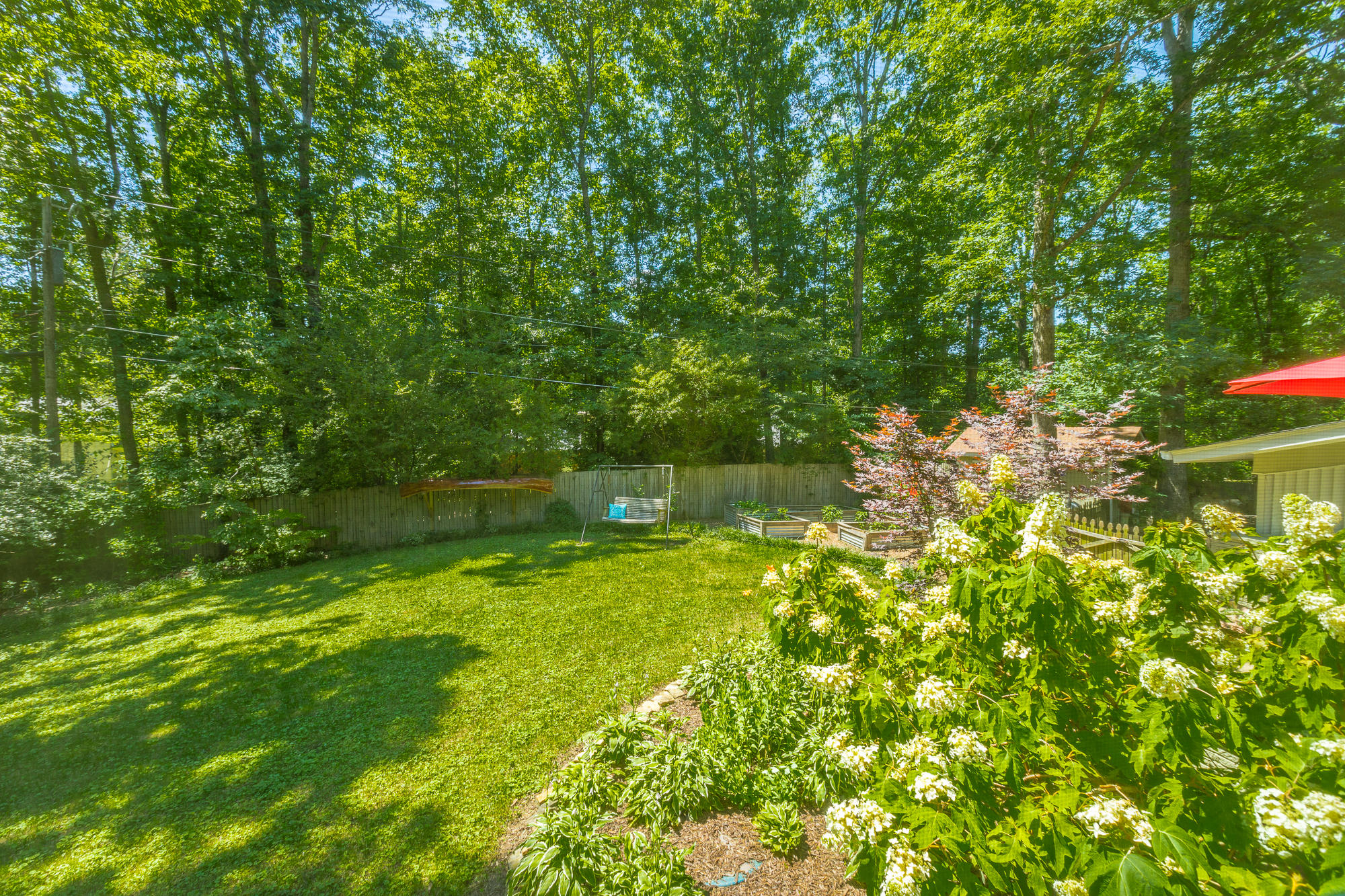 1108 Crown Point Road West Signal Mountain, TN 37377 - Photo 28 of 40 Private back yard