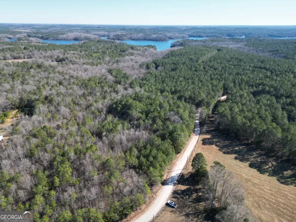 a view of a dry yard with green space