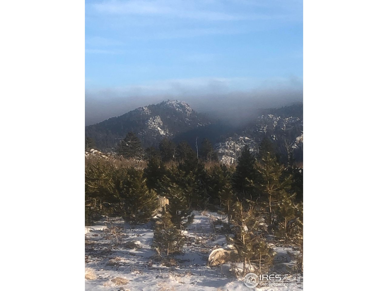 2315 Ridge Road Nederland, CO 80466 - Photo 11 of 28 a view of a yard