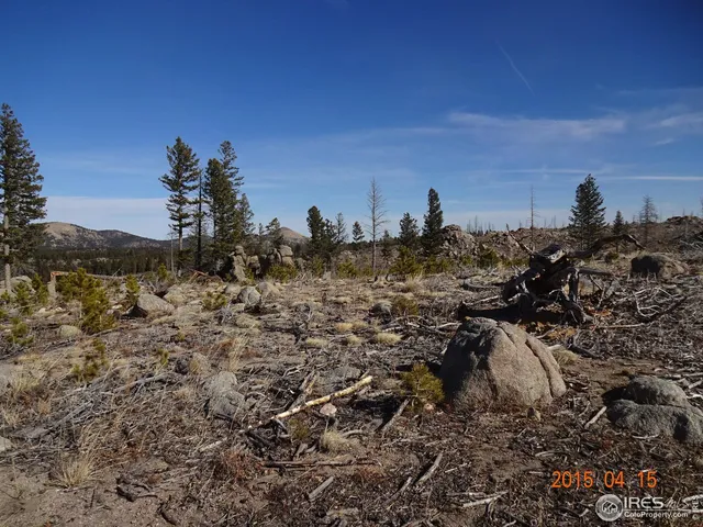 $390,000 | 2315 Ridge Road, Nederland, CO 80466