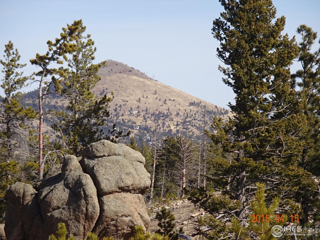 2315 Ridge Road Nederland, CO 80466 - Photo 26 of 28 a view of a forest