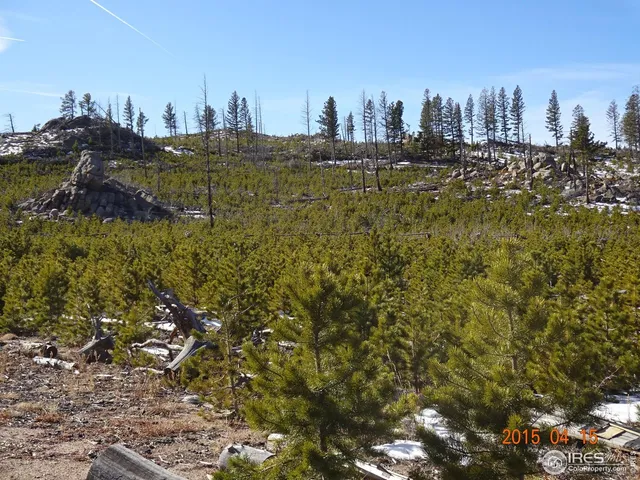 $390,000 | 2315 Ridge Road, Nederland, CO 80466