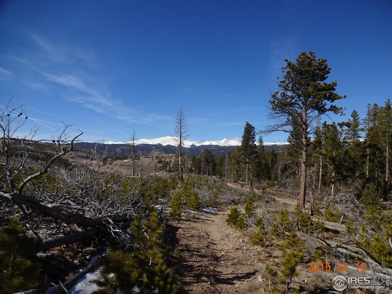 2315 Ridge Road Nederland, CO 80466 - Photo 28 of 28 a view of a dry yard with trees in the background