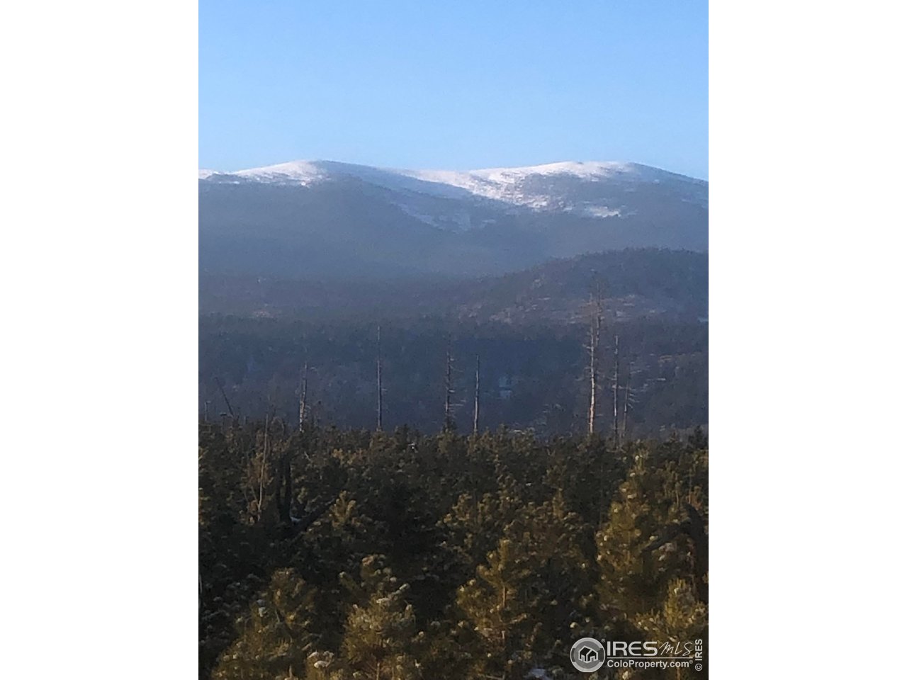 2315 Ridge Road Nederland, CO 80466 - Photo 5 of 28