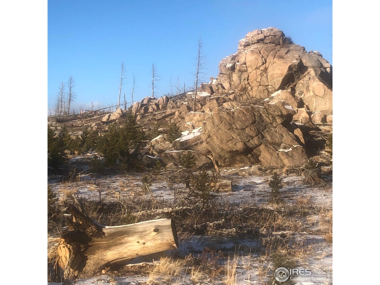 2315 Ridge Road Nederland, CO 80466 - Photo 8 of 28 a view of wooden door