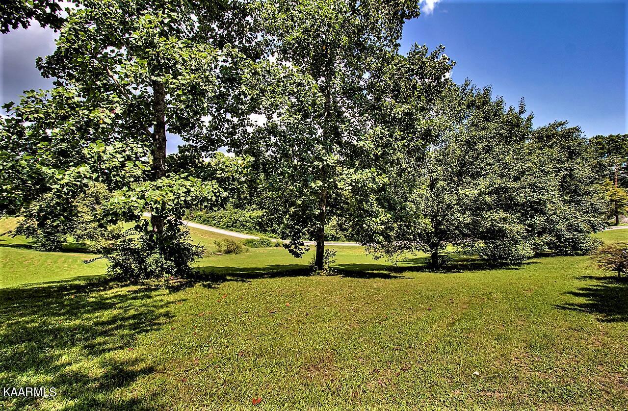 206 Sequoyah Trail Rutledge, TN 37861 - Photo 17 of 42 206 Sequoyah Ground 9