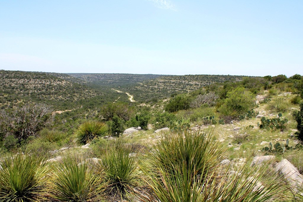 2519 Widmark Road Comstock, TX 78837 - Photo 30 of 49 a view of a city