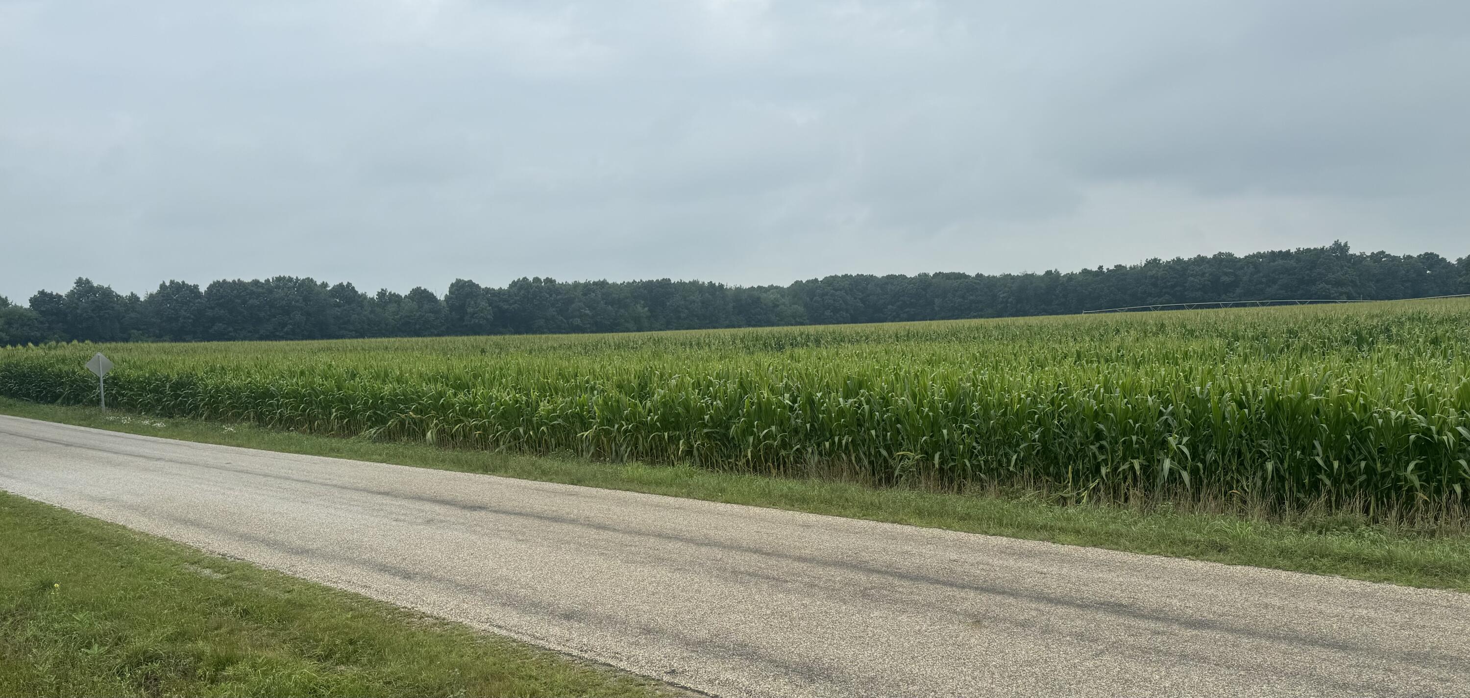 Three Rivers Mi 49093 Road Three Rivers, MI 49093 - Photo 2 of 2 Moorepark 2