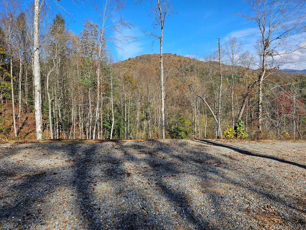 25 Odell Loop Murphy, NC 28906 - Photo 10 of 13 Gallery Image 10