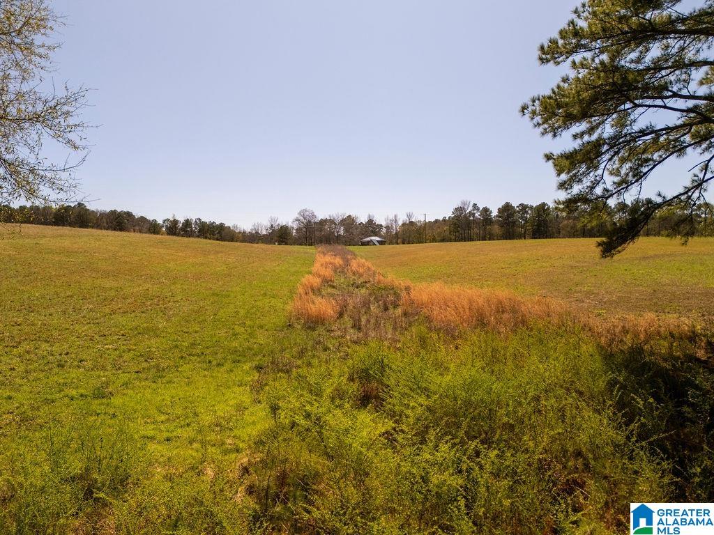 Bluegrass Lane, Unit 11 Jasper, AL 35503 - Photo 16 of 38