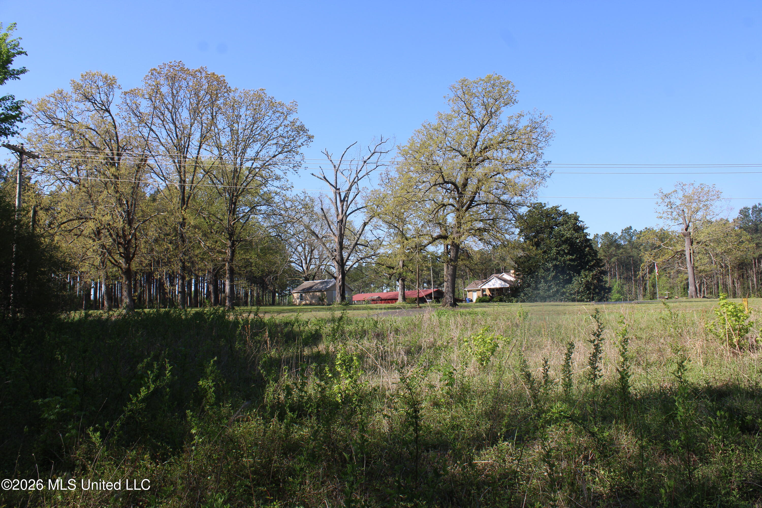 2502 South Slayden Road Lamar, MS 38642 - Photo 11 of 16 IMG_7679