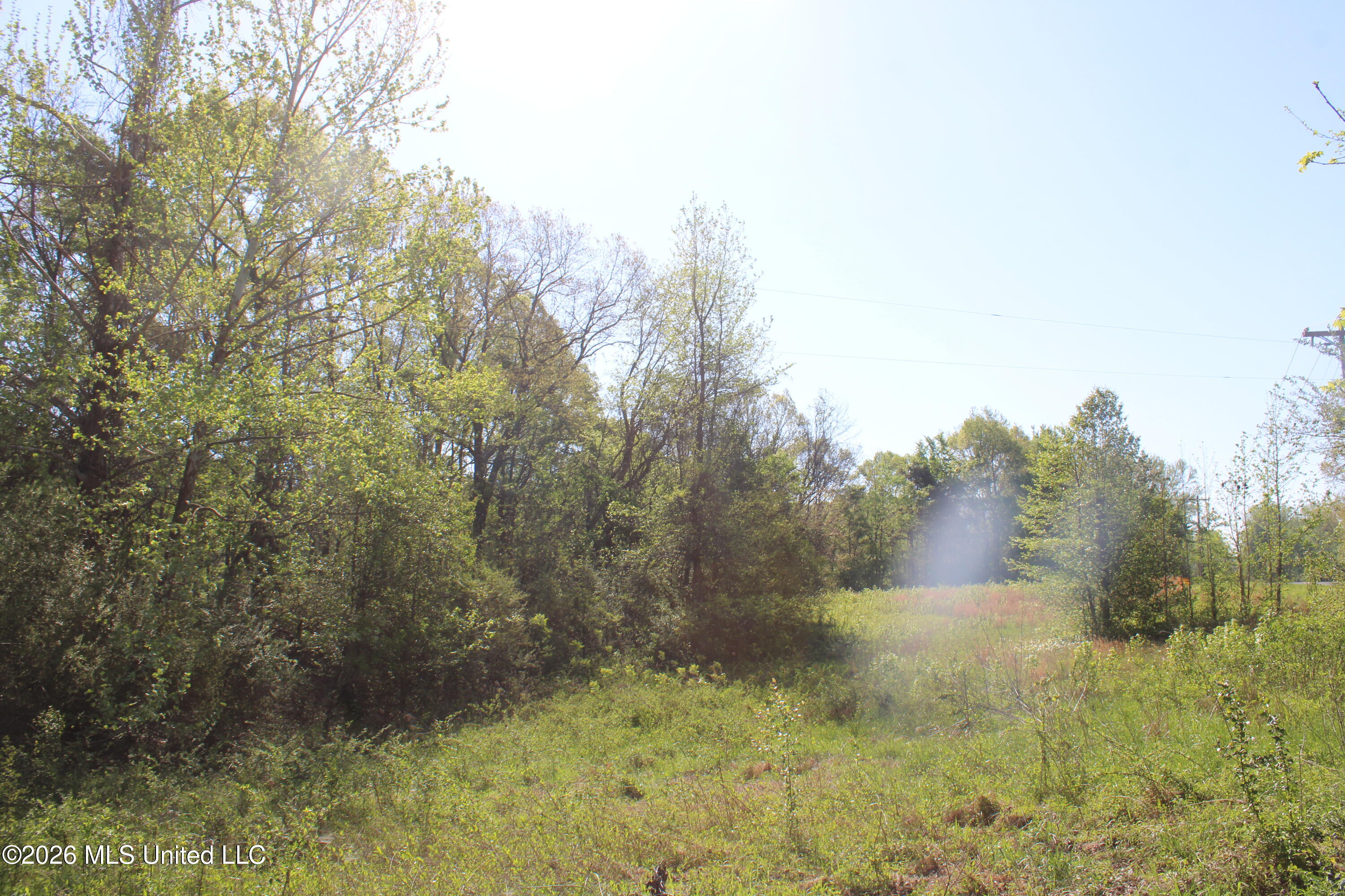 2502 South Slayden Road Lamar, MS 38642 - Photo 12 of 16 IMG_7681