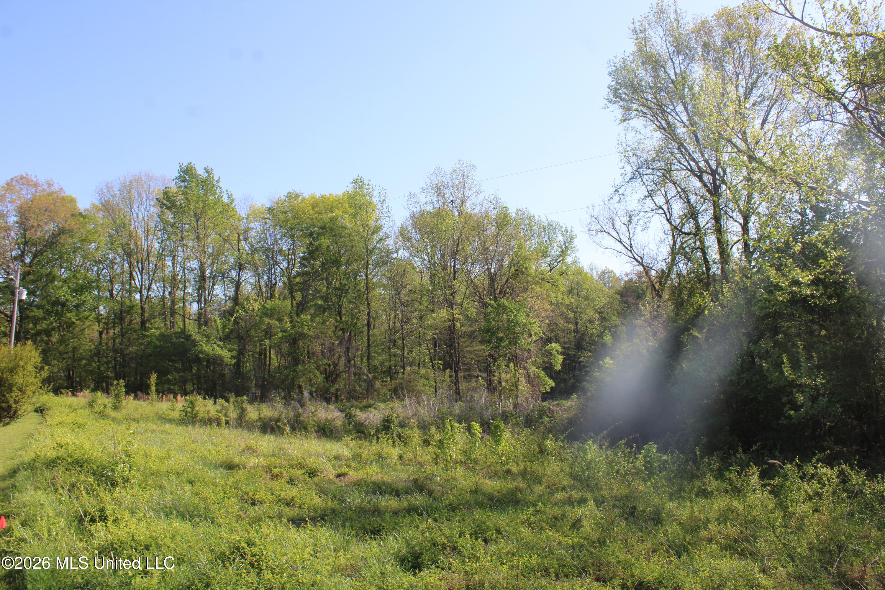 2502 South Slayden Road Lamar, MS 38642 - Photo 13 of 16 IMG_7682