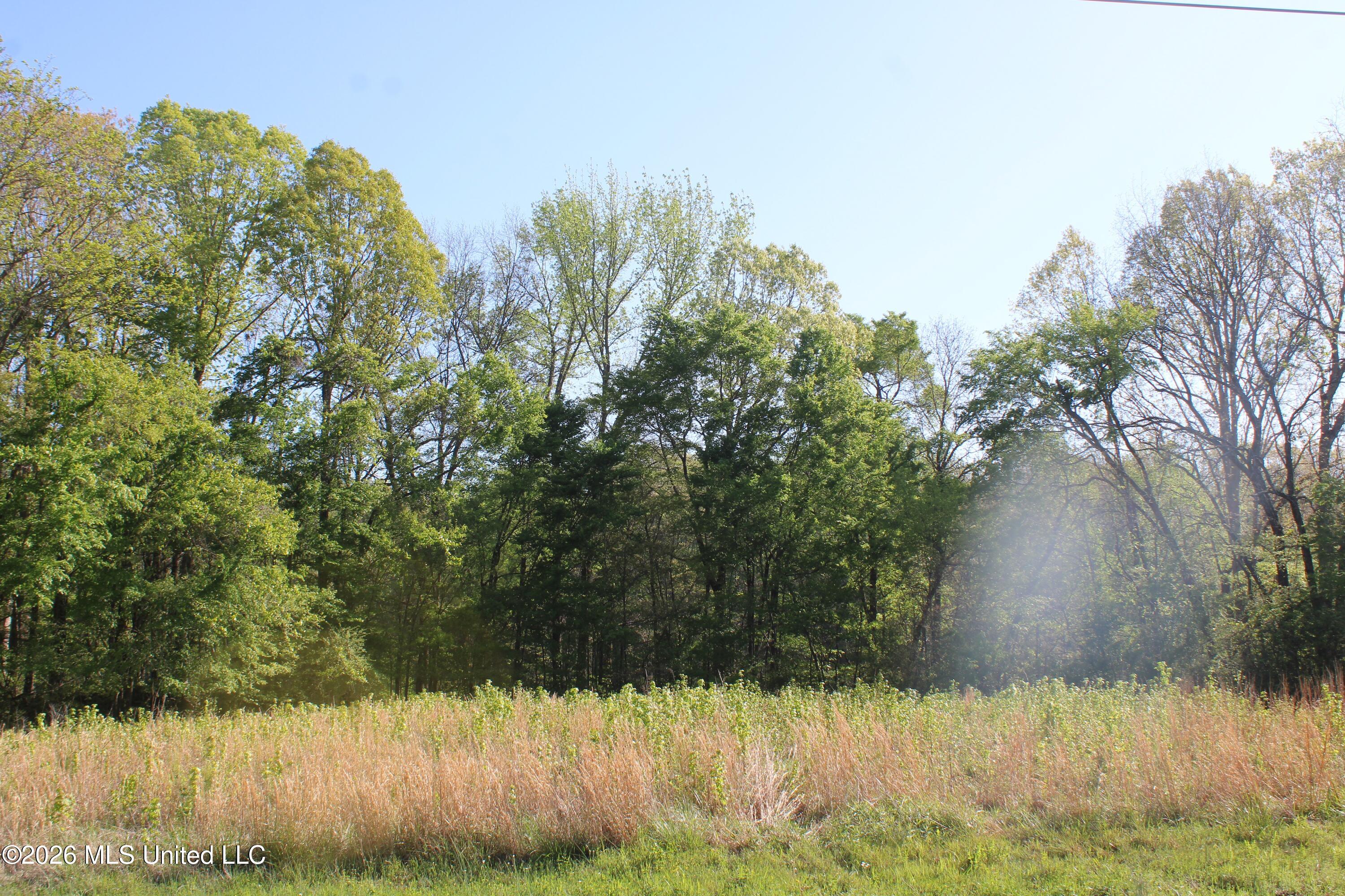 2502 South Slayden Road Lamar, MS 38642 - Photo 14 of 16 IMG_7674