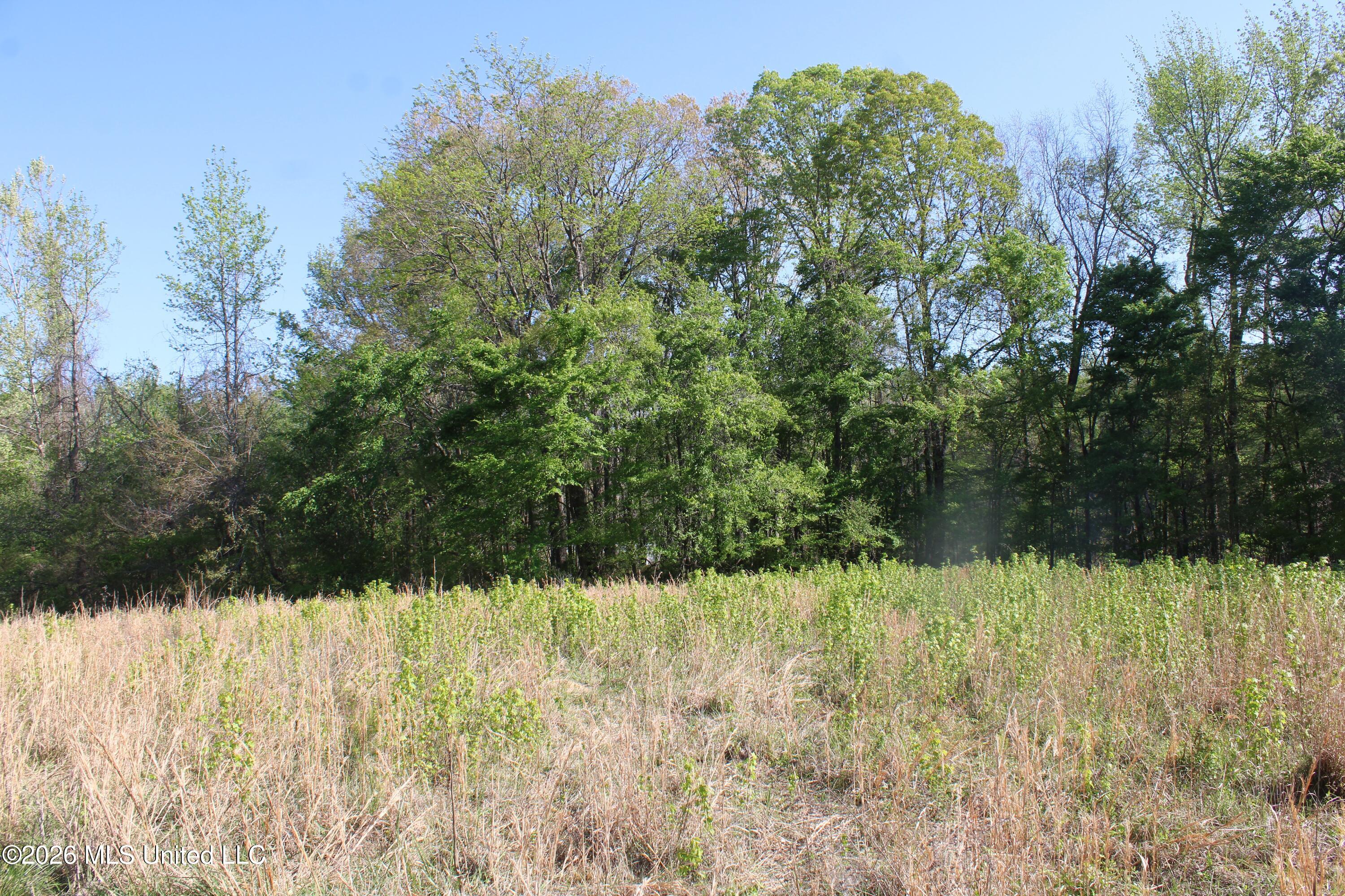 2502 South Slayden Road Lamar, MS 38642 - Photo 16 of 16 IMG_7680