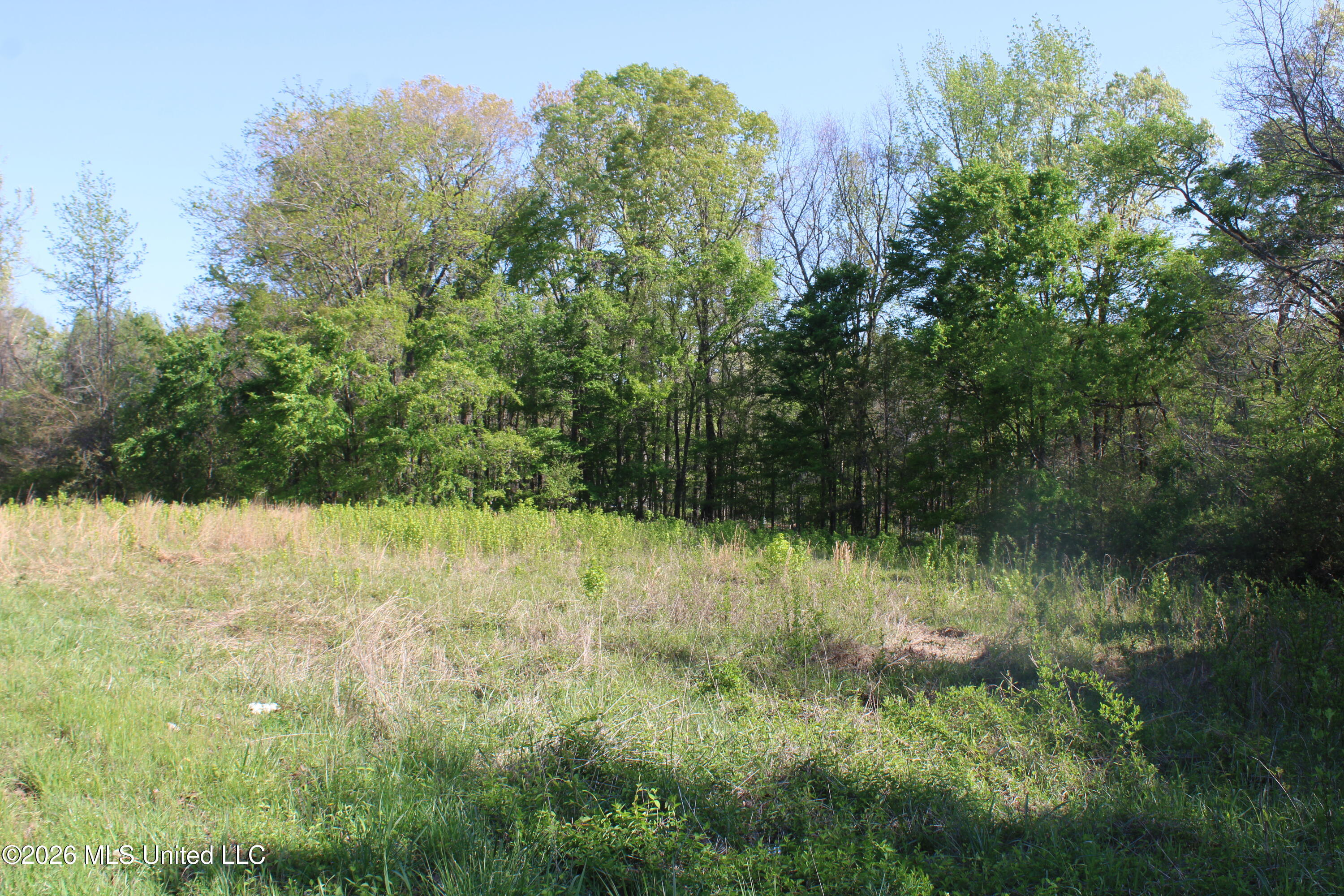 2502 South Slayden Road Lamar, MS 38642 - Photo 7 of 16 IMG_7675