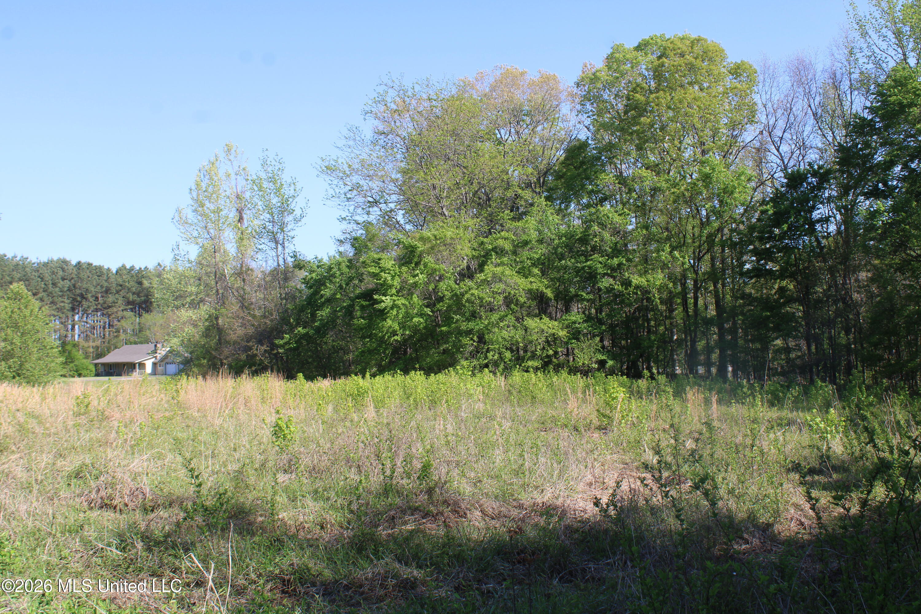 2502 South Slayden Road Lamar, MS 38642 - Photo 8 of 16 IMG_7676