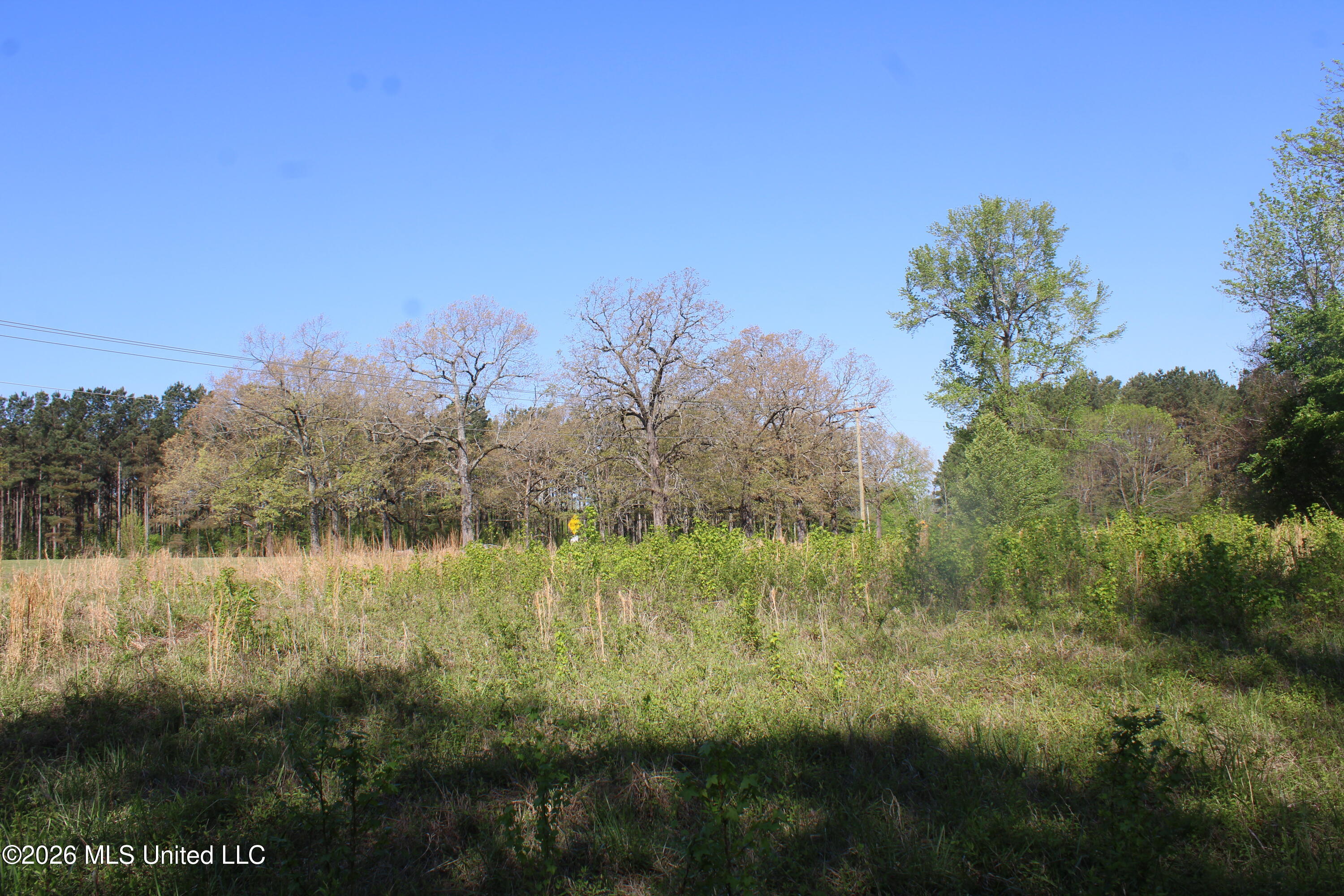 2502 South Slayden Road Lamar, MS 38642 - Photo 10 of 16 IMG_7678