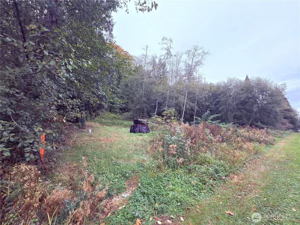 a backyard of a house with lots of green space and fog