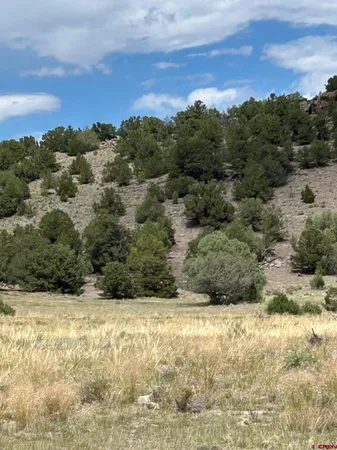 a view of a yard with mountain