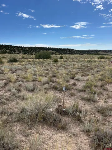 a view of an ocean beach