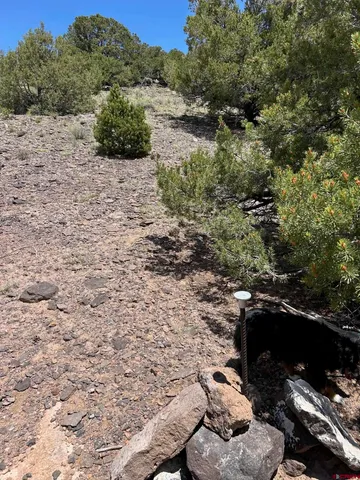 a view of outdoor space and yard