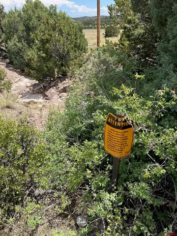 a view of a backyard of a house with a table and a fountain