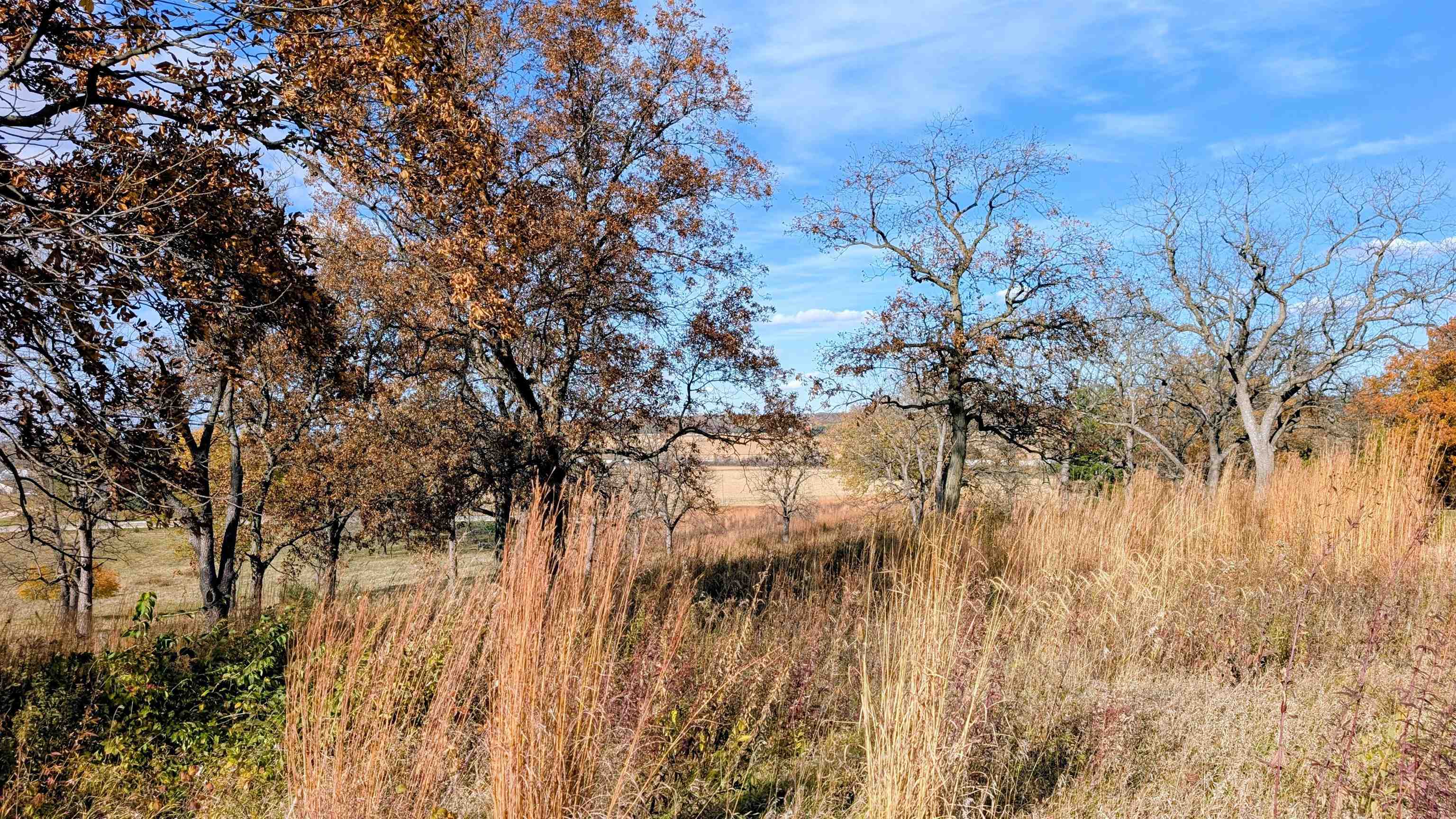 1785 West Pines Road Oregon, IL 61061 - Photo 18 of 42