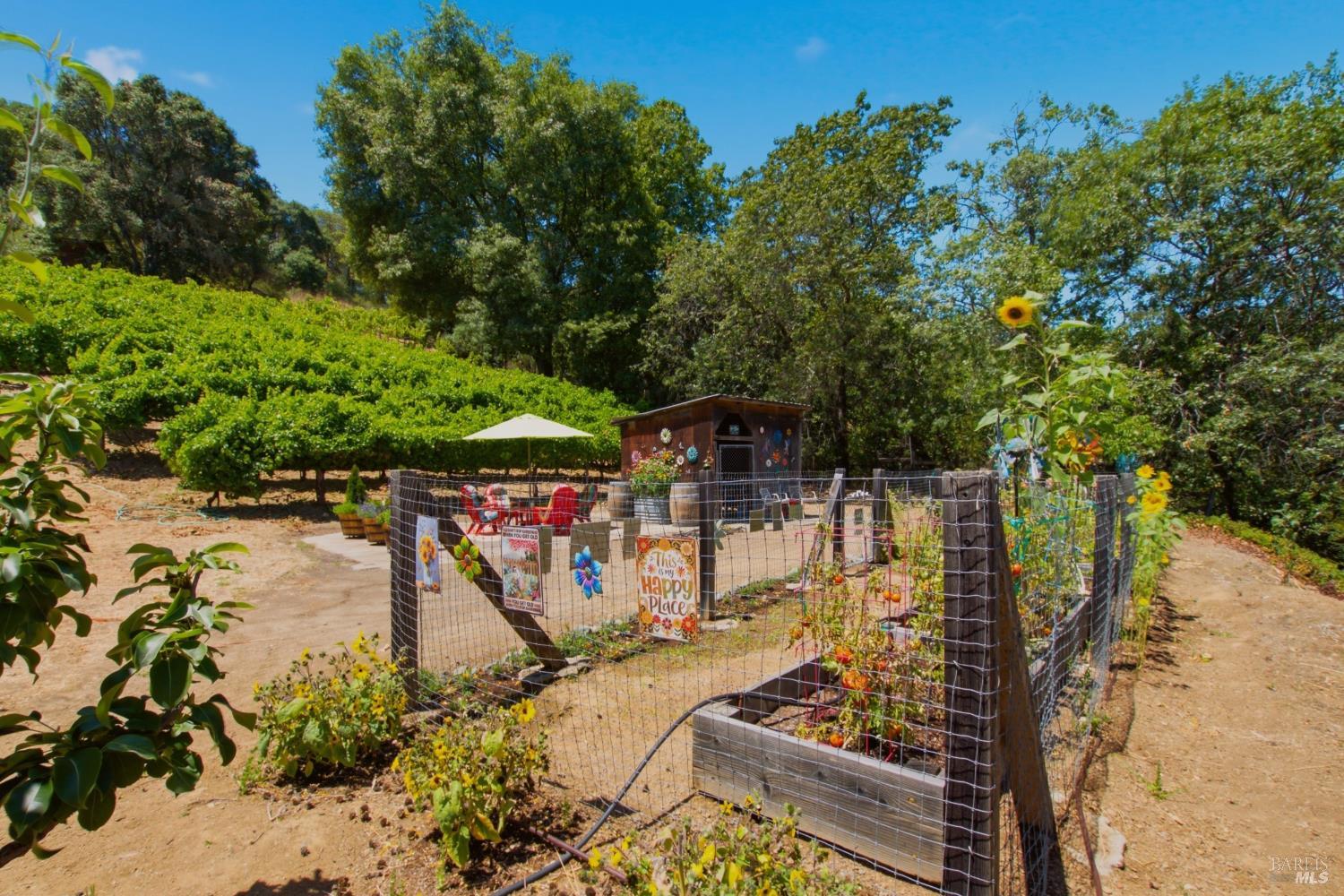 5301 Lake Ridge Road Ukiah, CA 95482 - Photo 29 of 59