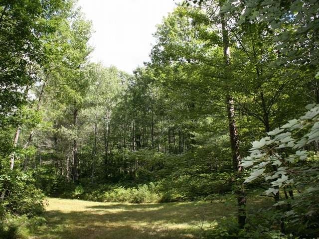 On On Buckatabon Road Eagle River, WI 54521 - Photo 13 of 15 Gallery Image 13