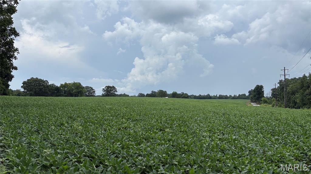 920 South Poplar Camp Road Makanda, IL 62958 - Photo 18 of 53