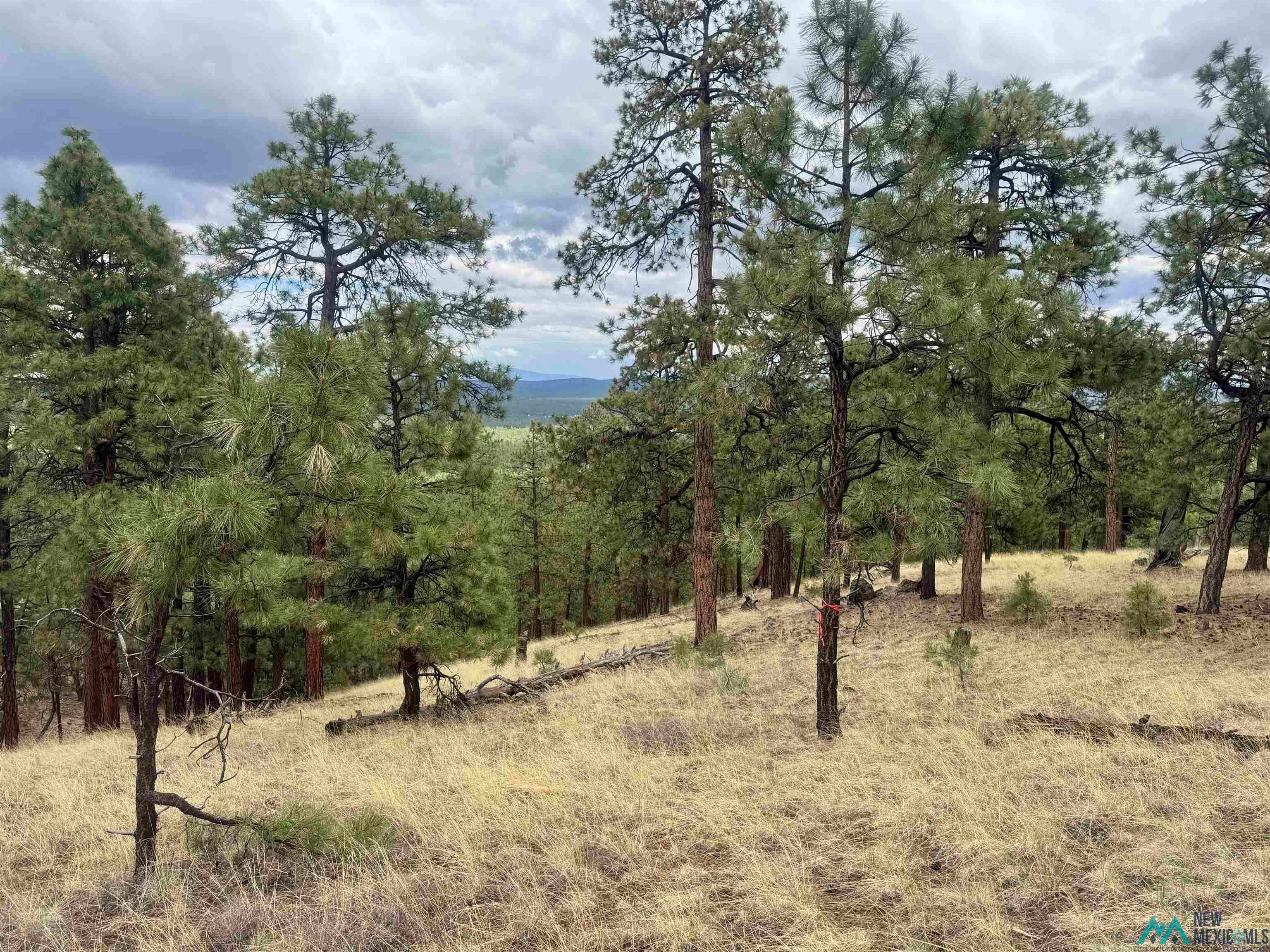Tbd Oso Rdg Lookout Road Grants, NM 87020 - Photo 30 of 41
