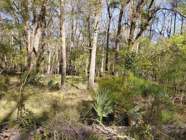 $30,000 | Lot 2-3 Gator Cove, Ridgeville, SC 29472