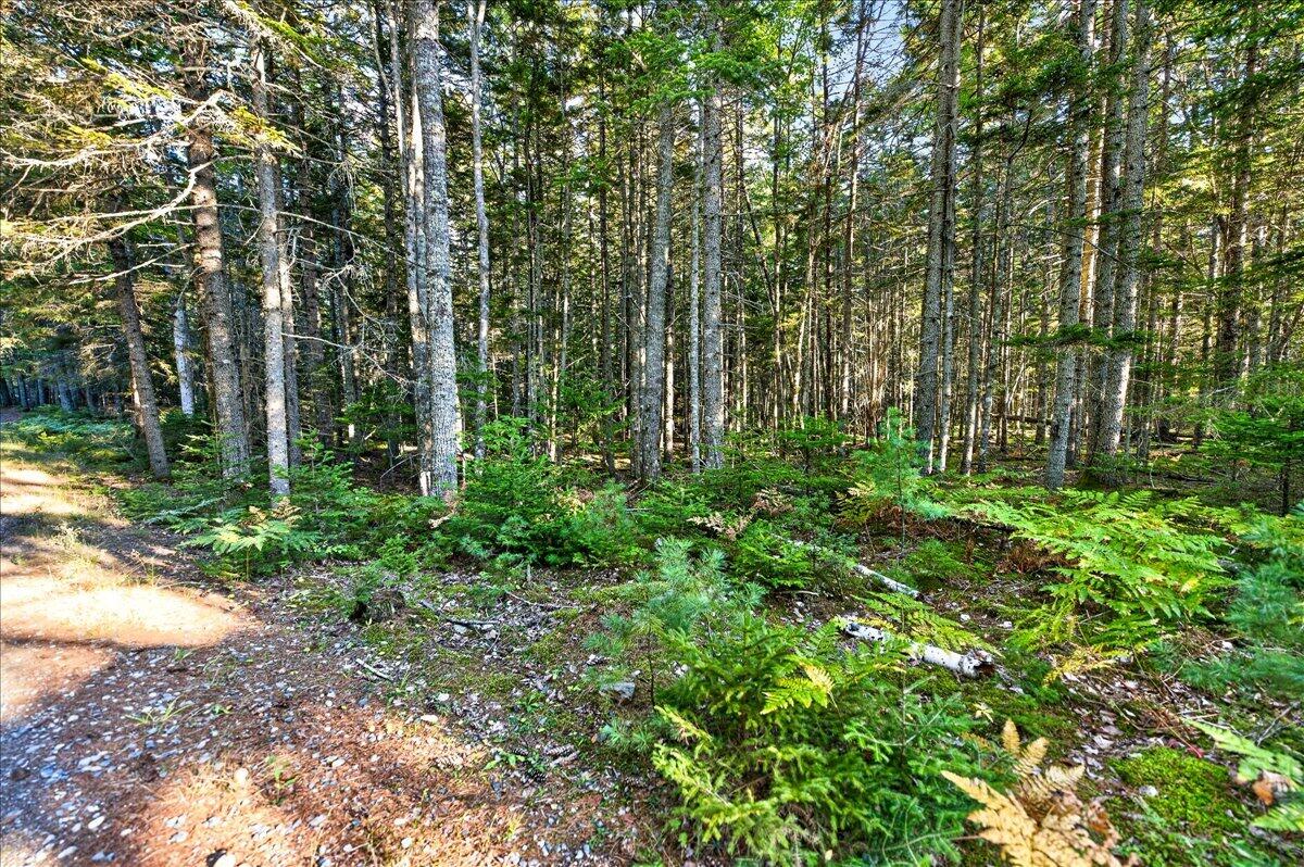 Tbd Pretty Marsh Road Mount Desert, ME 04660 - Photo 4 of 17 14-Pretty Marsh Rd.-13