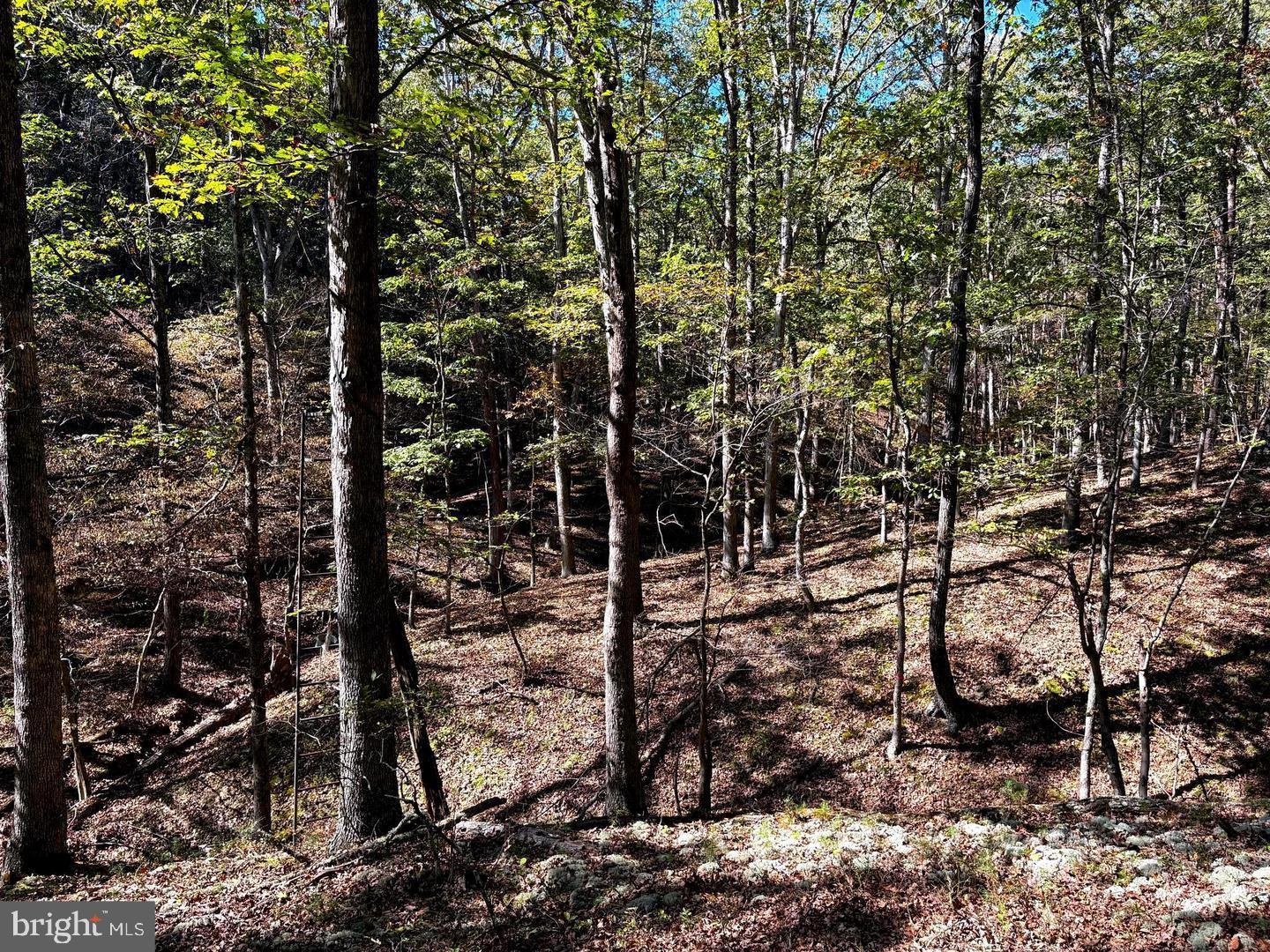 7313 Little Cacapon Road Romney, WV 26757 - Photo 26 of 38