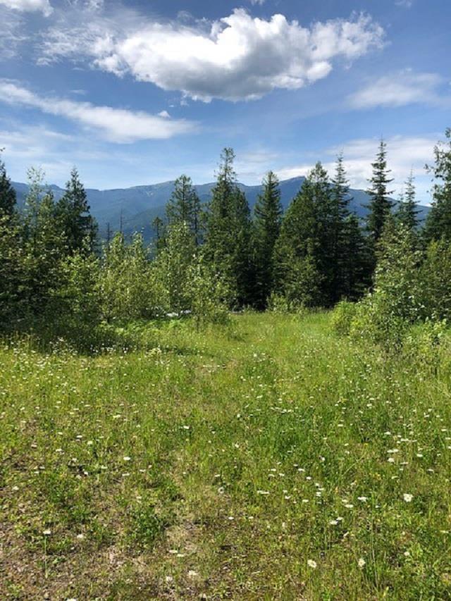 Lime Lake Road Metaline Falls, WA 99153 - Photo 14 of 25 Gallery Image 14