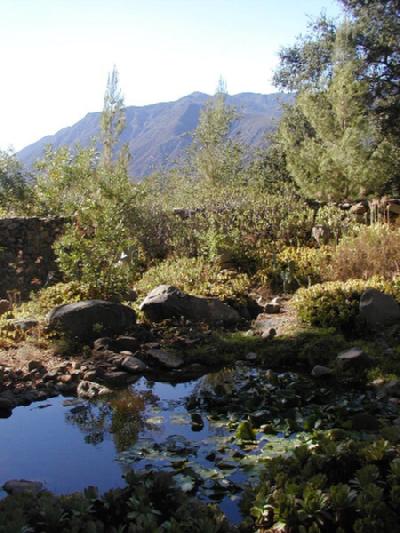 A trickling man-made stream and lily pond with views down the valley towards Ojai.