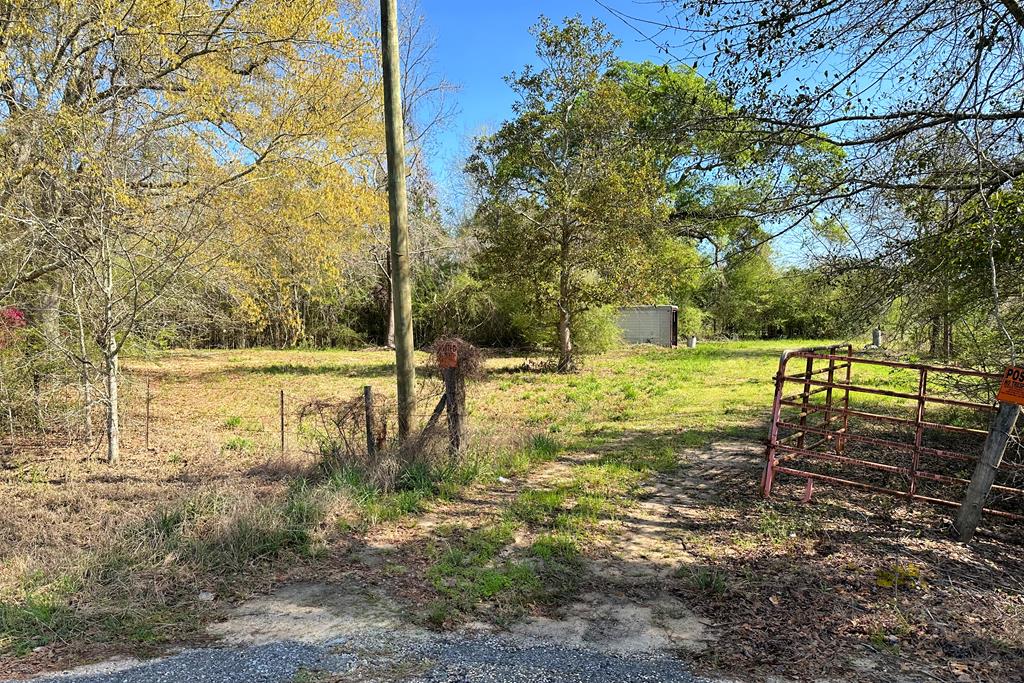 0 Lonnie Road Slocomb, AL 36375 - Photo 1 of 7
