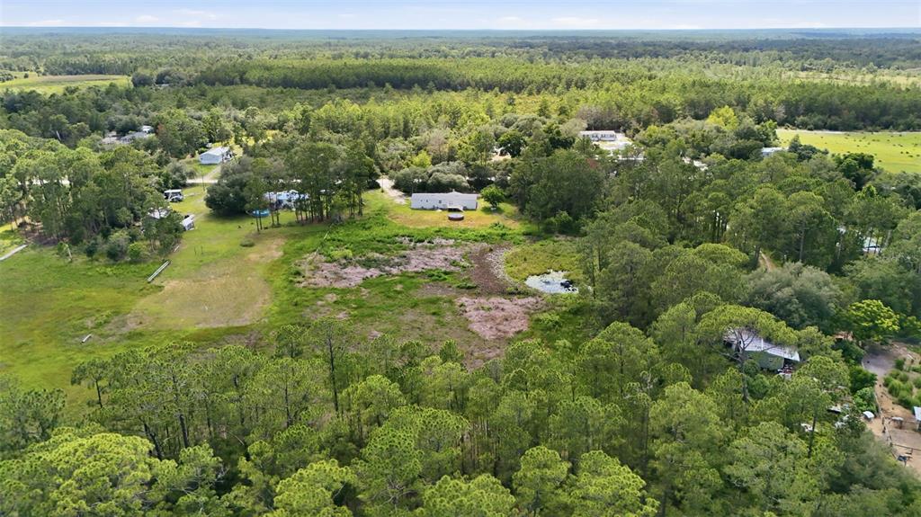 40404 Holly Branch Road Eustis, FL 32736 - Photo 36 of 38