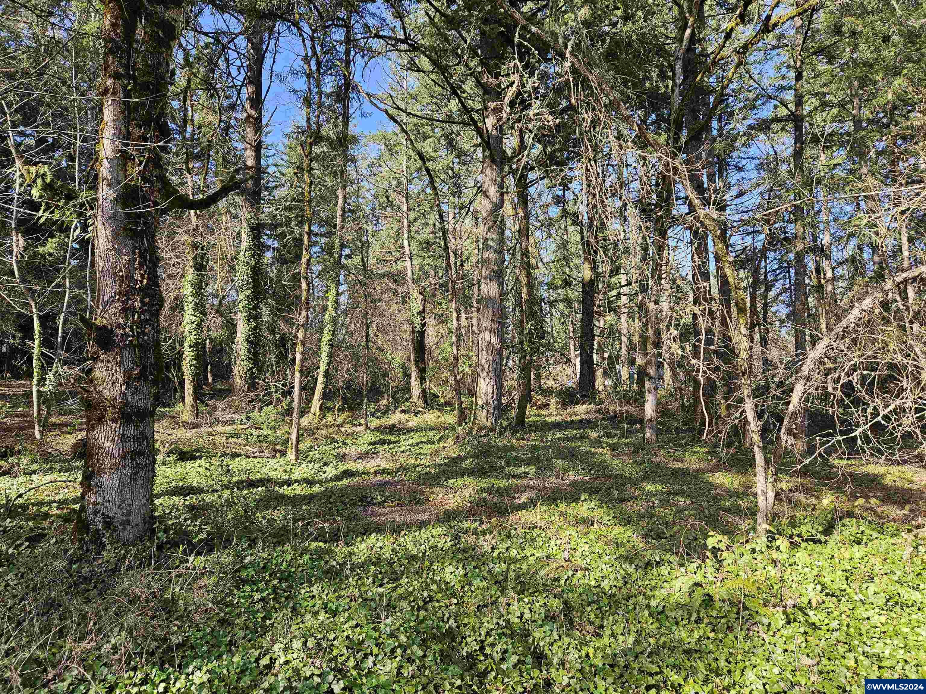 2700 Northwest Miller Lane Albany, OR 97321 - Photo 1 of 10
