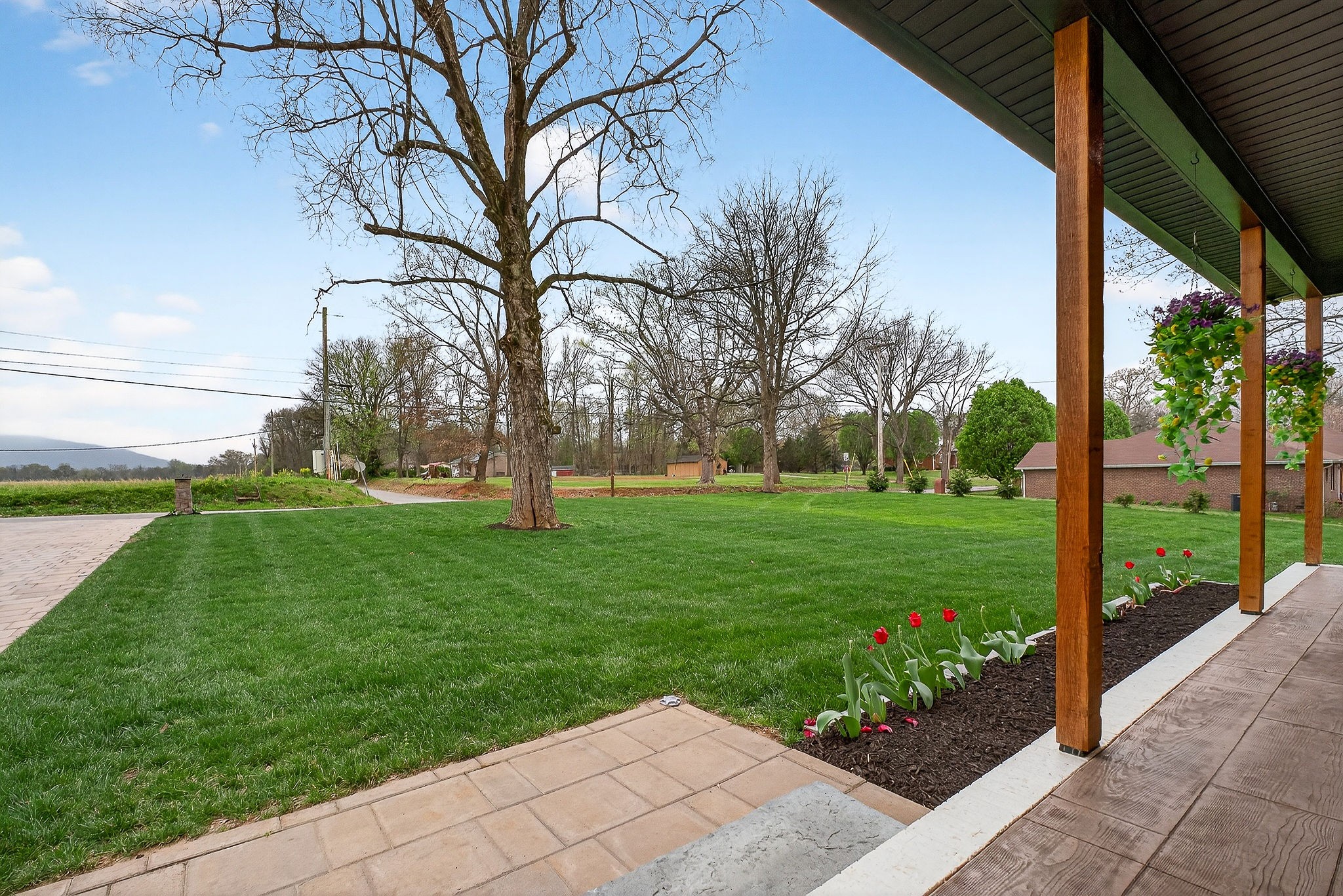 381 Rivercliff Road McMinnville, TN 37110 - Photo 15 of 46 a view of a garden with a fountain