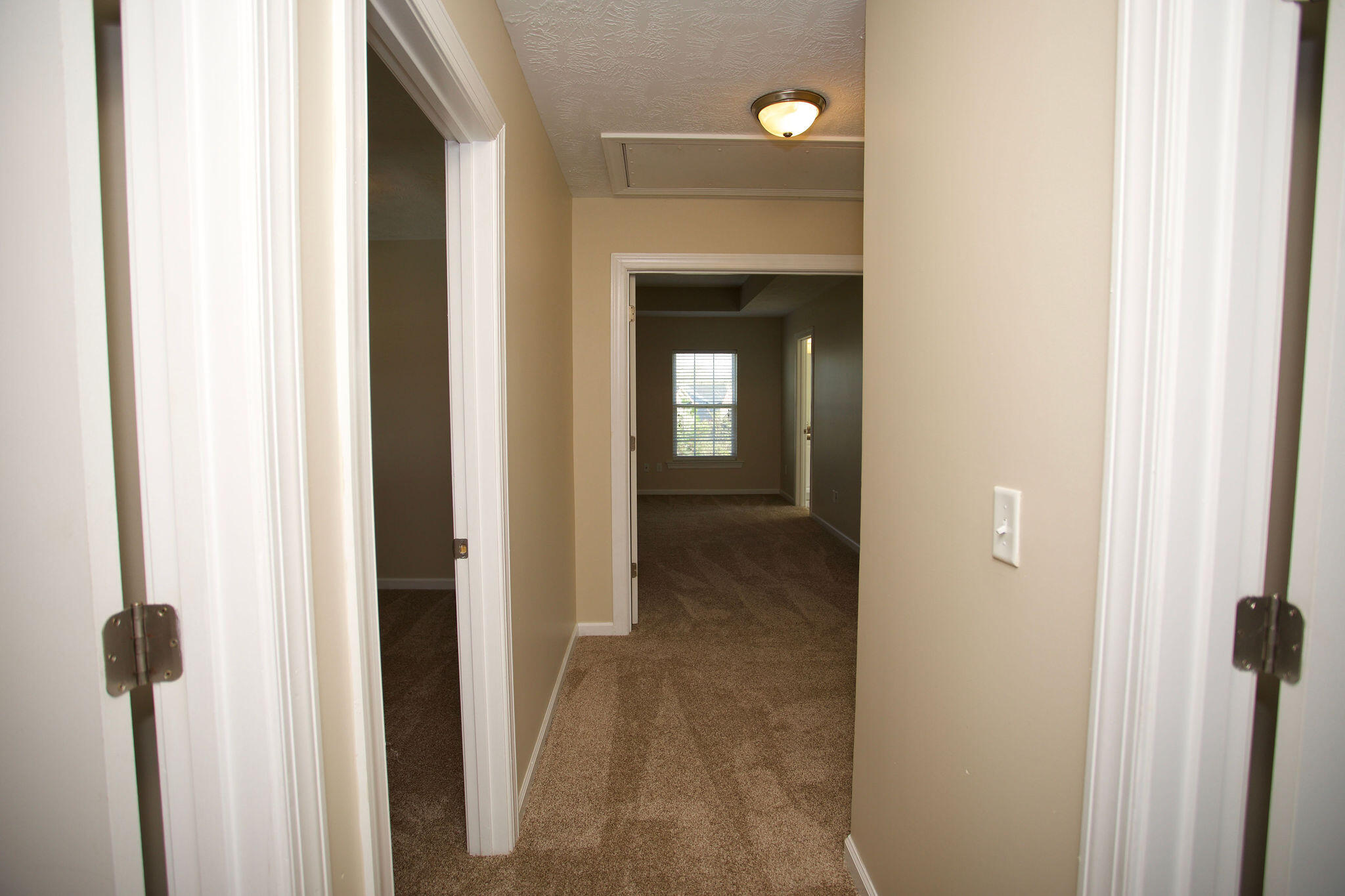 484 Brantley Cove Circle Grovetown, GA 30813 - Photo 38 of 51 0B7A0902