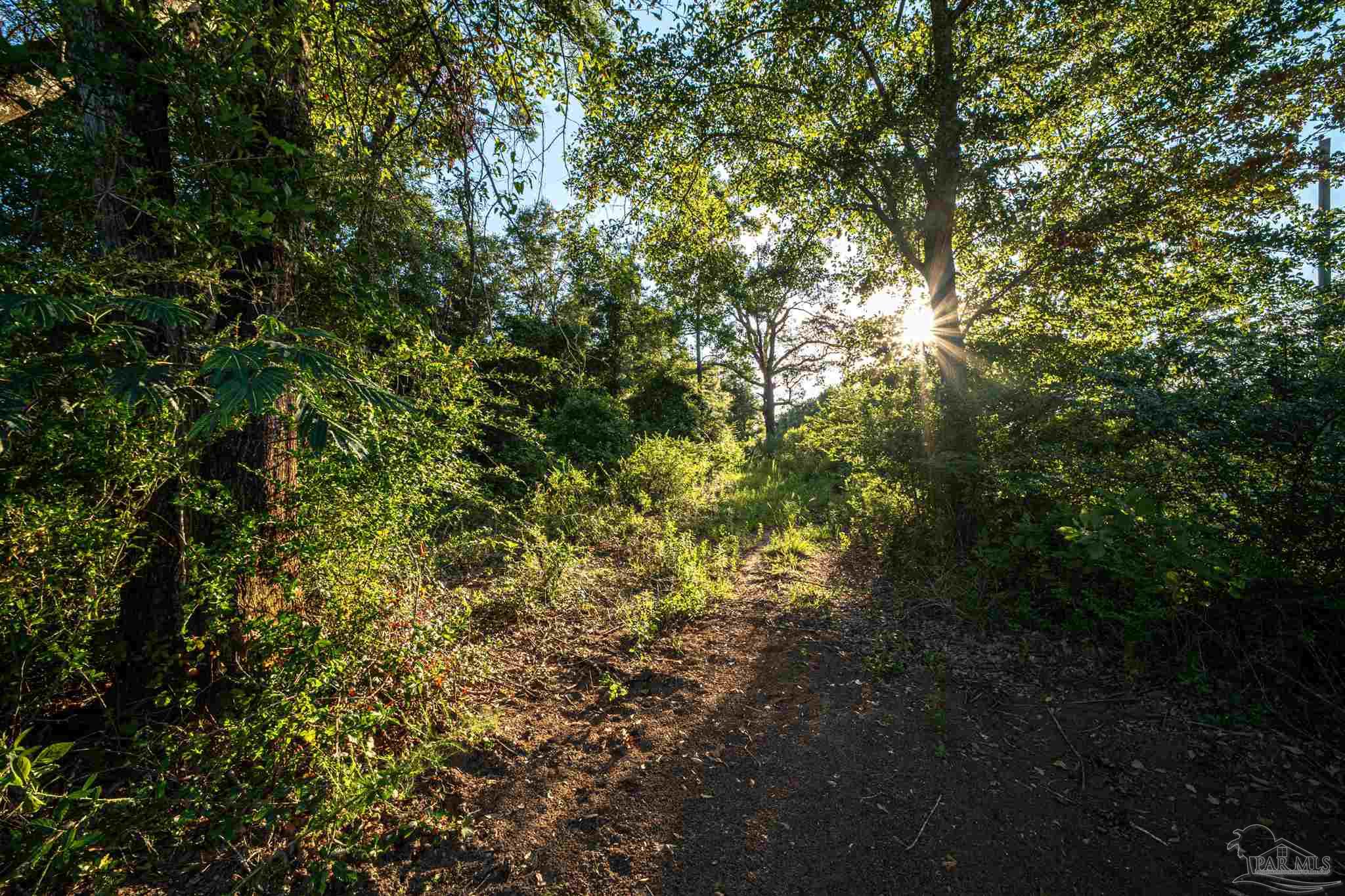 8165 Chumuckla Highway Pace, FL 32571 - Photo 50 of 50 a view of a yard with plants and a tree