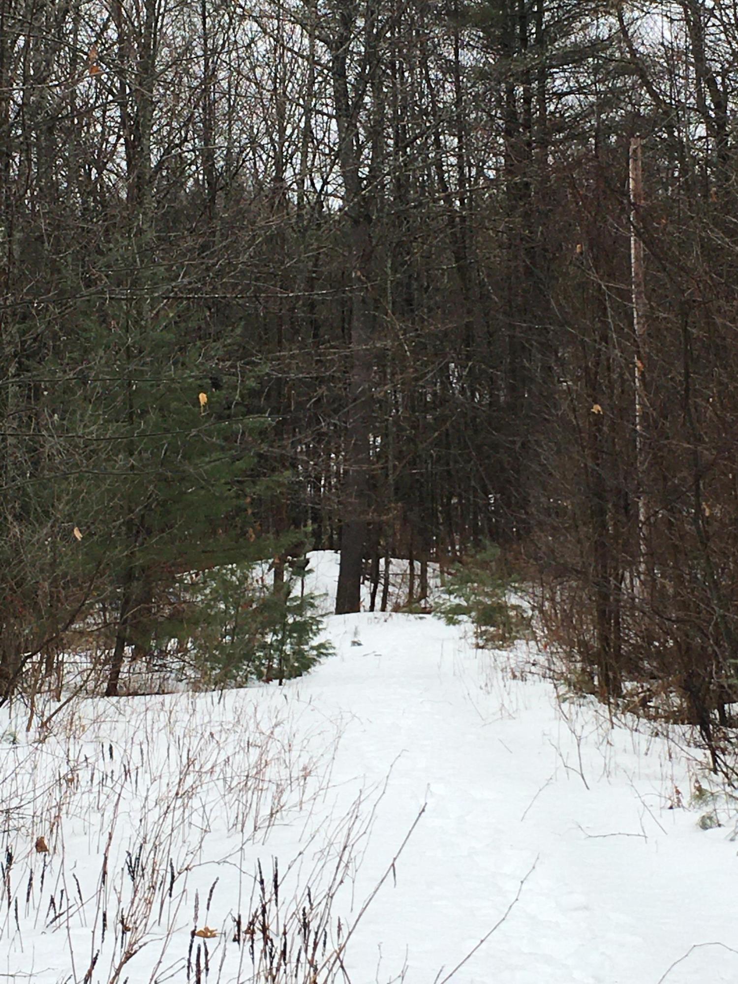 M6-l1-6 Father Rasle Road Norridgewock, ME 04957 - Photo 14 of 19 IMG-1483