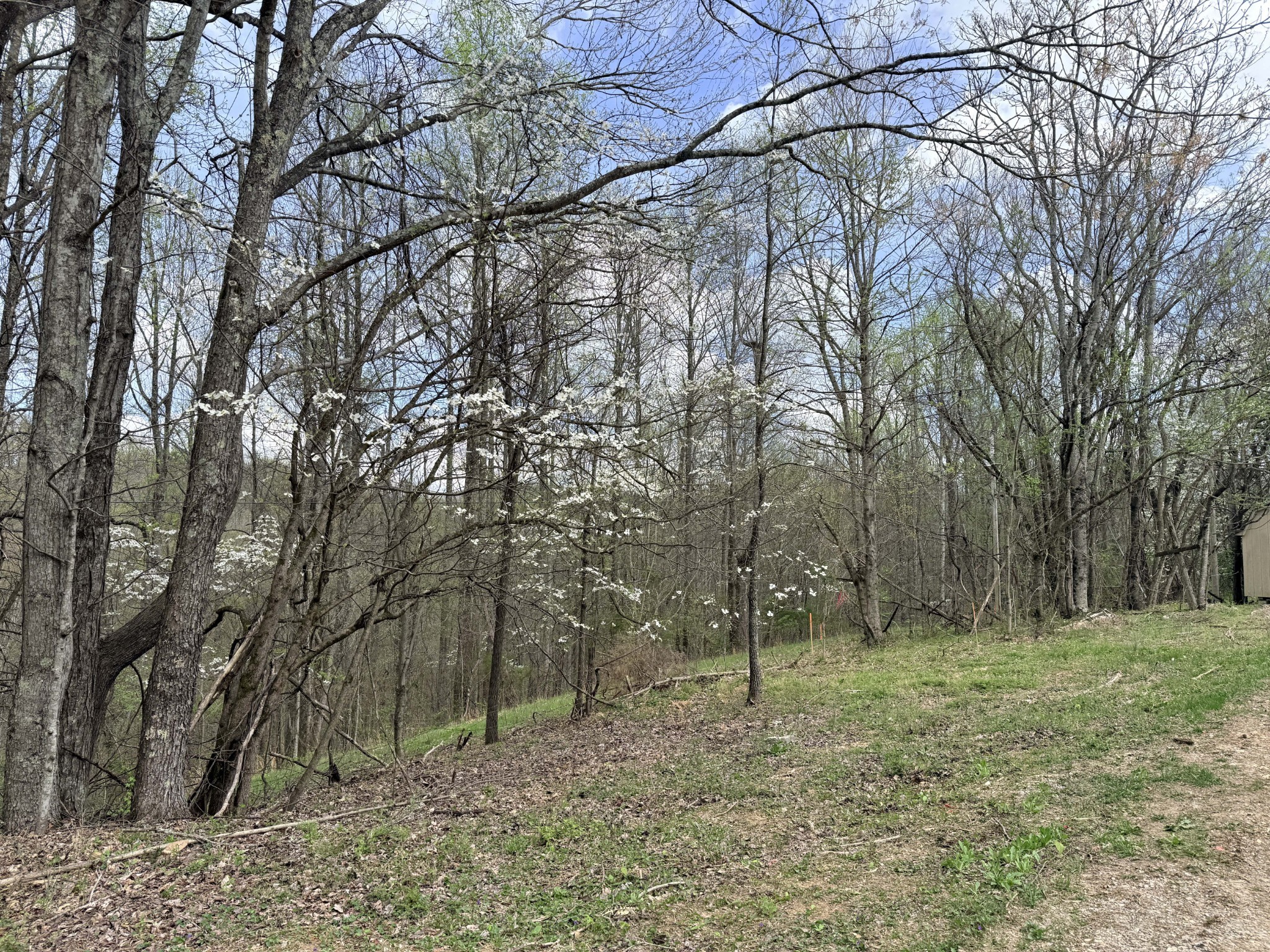 935 Sugar Tree Knob Road Liberty, TN 37095 - Photo 7 of 23