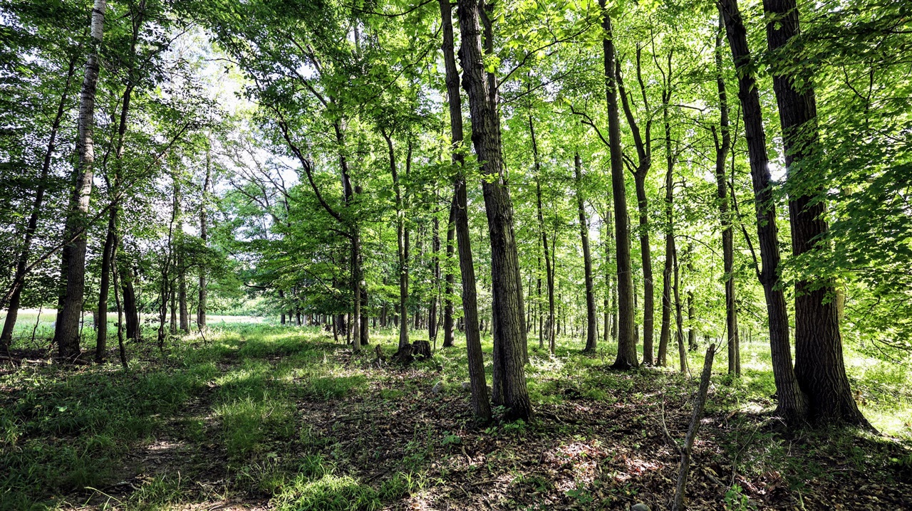 29 29 Mile Road Battle Creek, MI 49014 - Photo 25 of 48