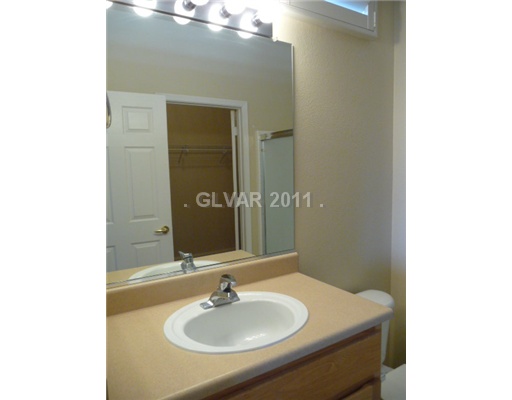 3048 Monroe Park Road Henderson, NV 89052 - Photo 12 of 22 Master Bath/Spa.
