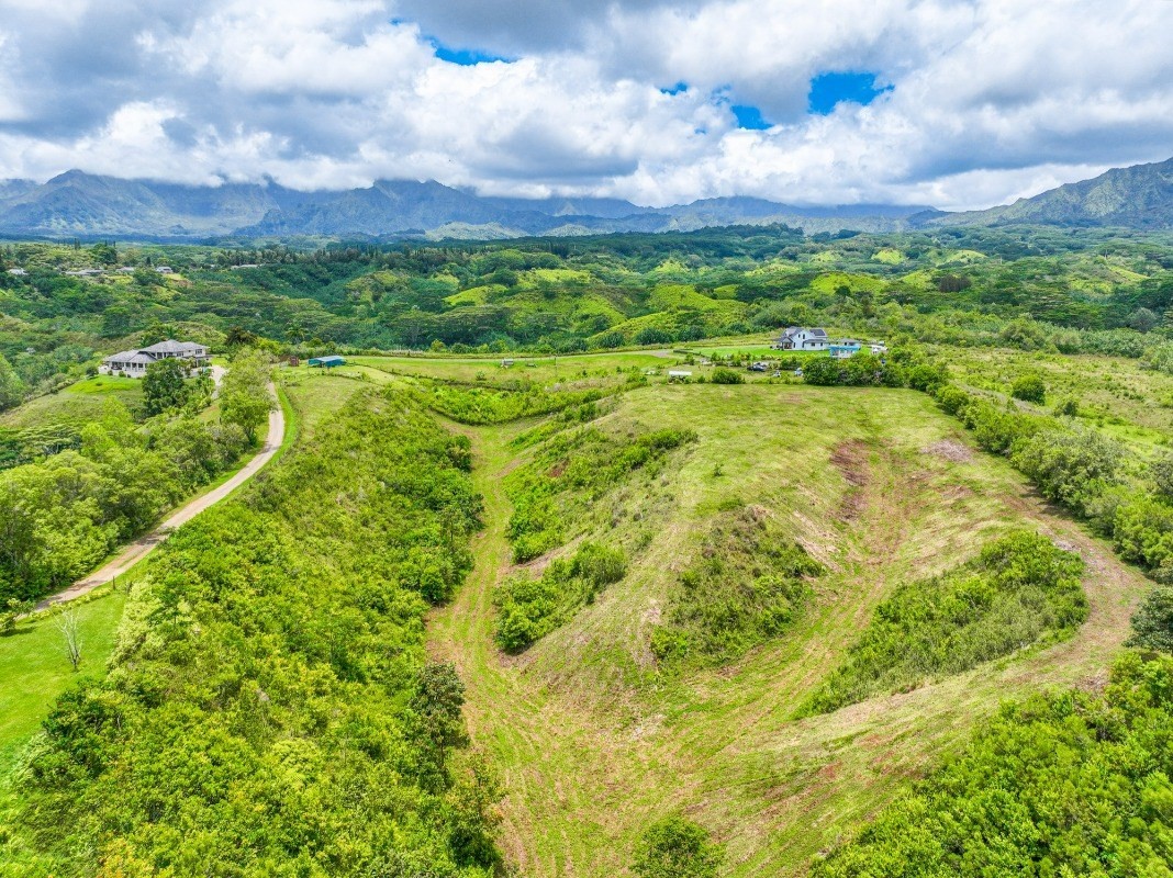 6596 Poo Road, Unit 5 Kapaa, HI 96746 - Photo 11 of 19 a view of a city with lush green forest
