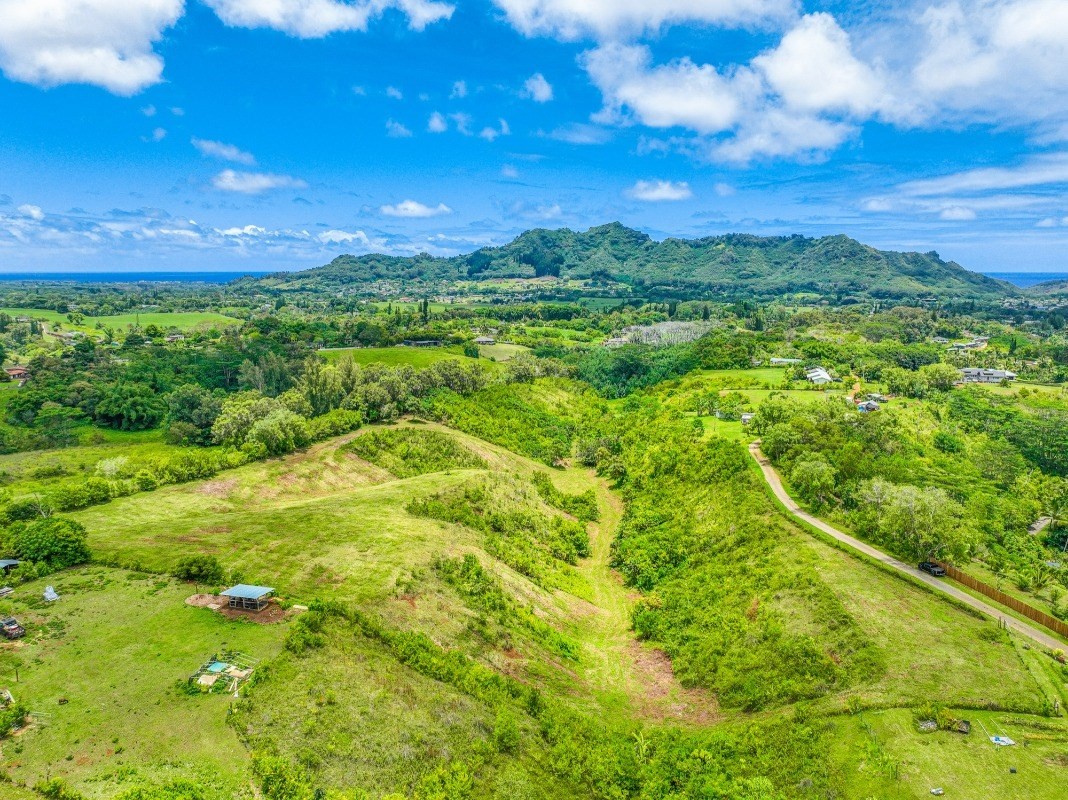 6596 Poo Road, Unit 5 Kapaa, HI 96746 - Photo 3 of 19 a view of a green yard